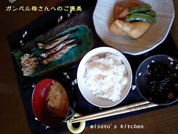 お初にお目にかかります♪
