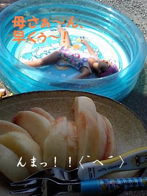 桃、食べごろ♪