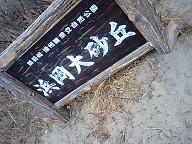 河津さくらと浜岡砂丘