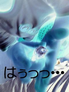 ニューアイテム、○○のブローチ♪
