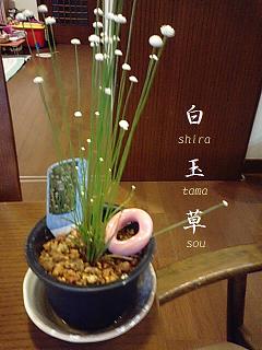 寝過ぎた朝に思ふこと。
