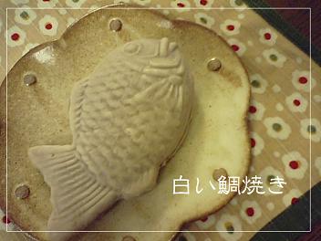 掛川☆上陸！