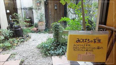 人気商品を買いに♪