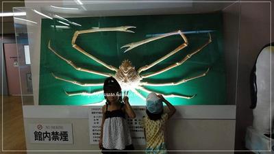 夏の旅行記　～水族館編～　