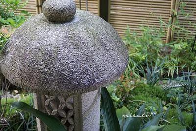 思い続けた甲斐ありました！　（感
