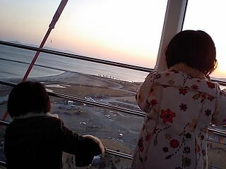 観覧車とカンガルー
