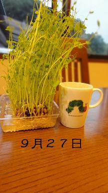 【断髪式】