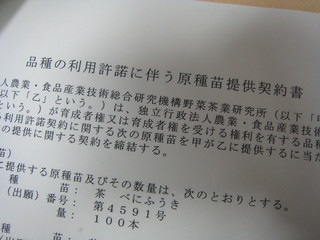 契約書