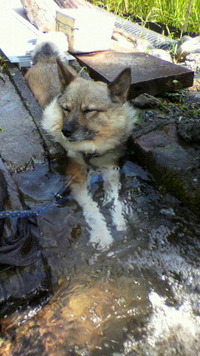 行水