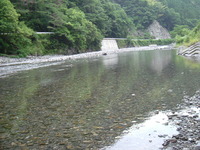 鮎