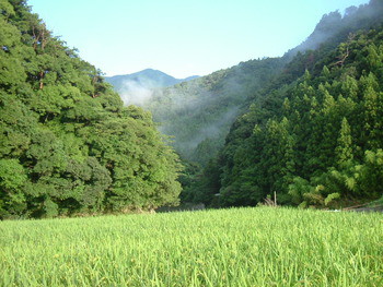 寒い