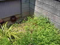浜松市北区S様宅 2011/06/03 17:05:10