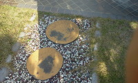 伸びて欲しくない所まで芝生が伸びる 2010/12/09 17:31:38