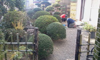 暮れの草とりです 2010/12/18 18:13:36