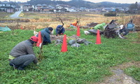 管理地の草とり 2011/03/27 12:04:56
