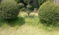 コンボを決めろ！ 2011/04/27 18:19:25