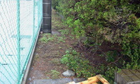 雨の中の作業です 2011/06/02 11:52:49