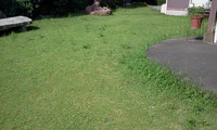 芝刈り、はじめました。 2011/08/19 16:22:02