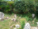 浜松　草取り　Ｓ寺　前