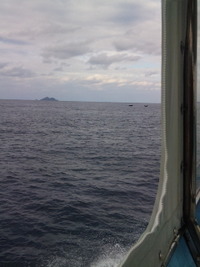 微かに… 2011/01/19 08:35:33
