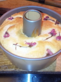 春の贈り物(^0^)/ 2011/04/24 04:23:49
