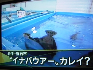 イナバウアー