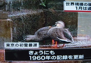 新記録