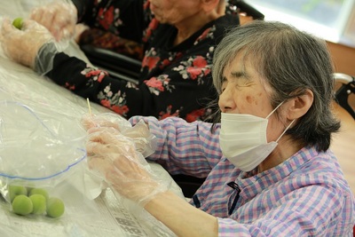 ラクラス広沢　梅シロップ作り