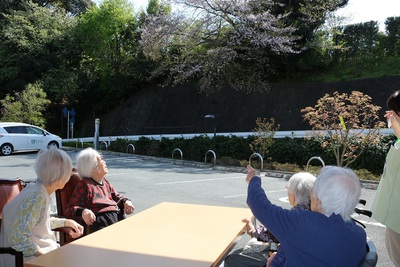 ラクラス広沢　お花見