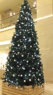 早いね〜！ 2012/11/11 12:25:41