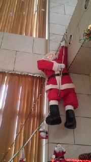 クリスマス気分☆ 2012/11/26 20:02:50