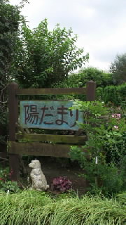対敵 紫外線！ 2013/07/05 10:11:53