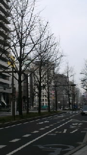 ここは大阪！ 2013/01/19 17:40:36