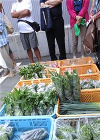 9月3日の富塚の朝市レポート 2015/09/08 11:50:46