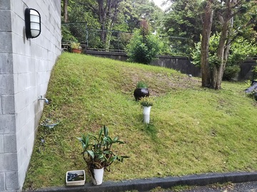 庭のメンテナンス　除草作業　　
