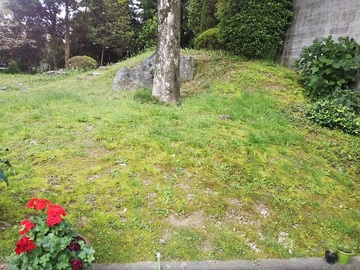庭のメンテナンス　除草作業　　