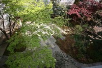 外構・造園施行現場　3 2025/03/05 10:58:15
