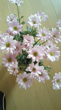 今日(5/20) の小さな幸せ(* ´∀｀*) 2014/05/20 23:29:23
