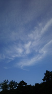やって当たり前・・ つづき  (*^^*) 2016/08/08 10:25:49
