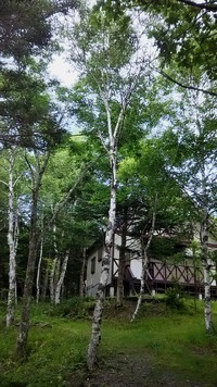 あなたの考えることってね 2017/08/05 16:04:29
