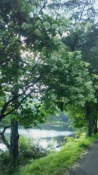 無いもの ・ 有るもの 2019/08/11 11:14:20