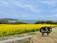 能古島 2022/03/29 10:48:24