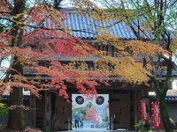 紅葉 2021/12/09 18:53:22