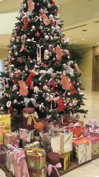X'masツリー 2011/12/12 16:44:09