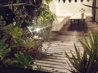 雪です（*^_^*） 2011/01/16 22:00:53