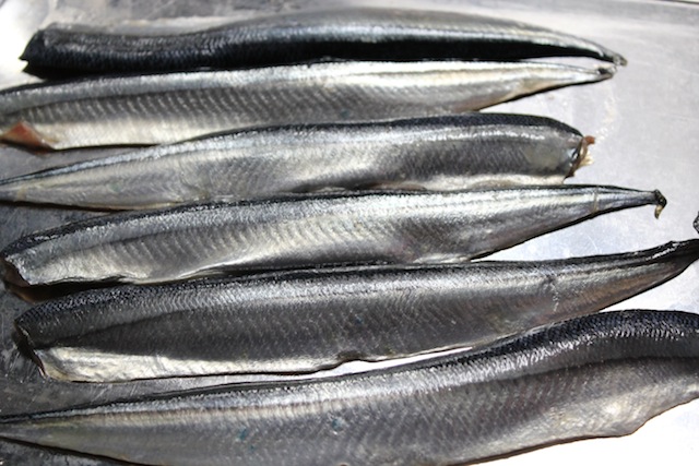 秋刀魚のパスタ！！