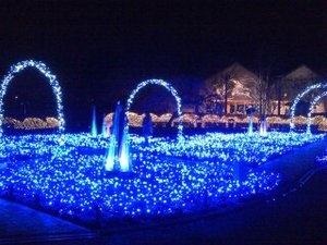 なばなの里イルミネーション駆け込みツアー