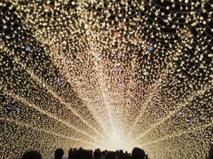 なばなの里イルミネーション駆け込みツアー