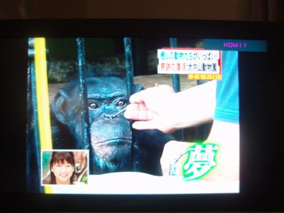 大内山動物園