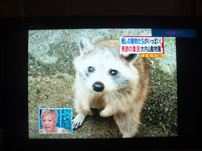大内山動物園